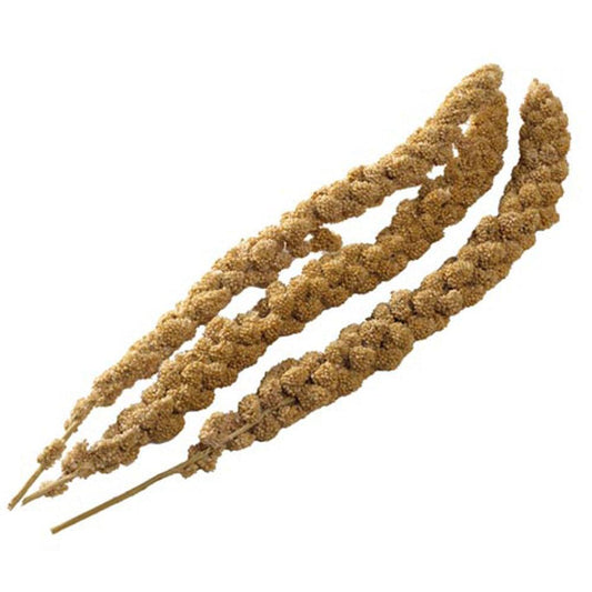 Bucktons Millet Spray - North East Pet Shop Bucktons