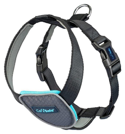 CarSafe Dog Travel Harness Black Small - North East Pet Shop Company of Animals