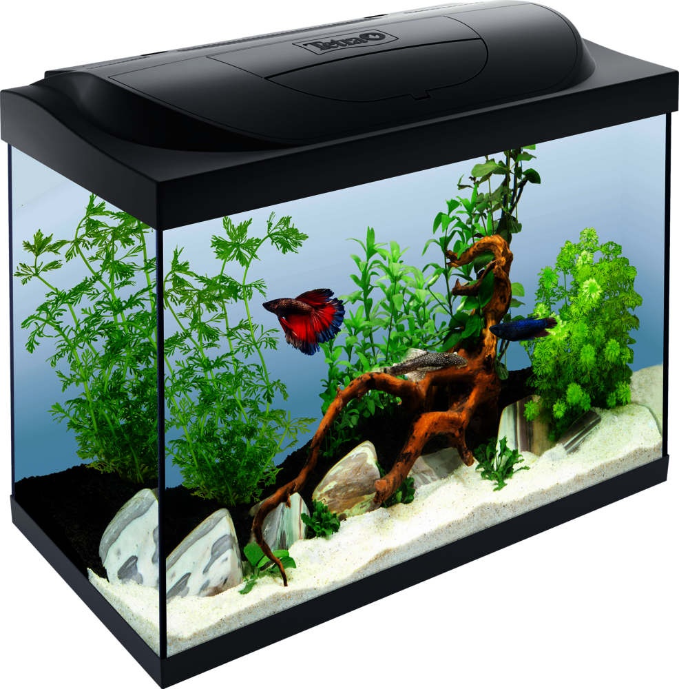 Tetra Starter Line 30L Goldfish Tank with Filter and LED