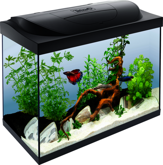 Tetra Starter Line 30L Goldfish Tank with Filter and LED