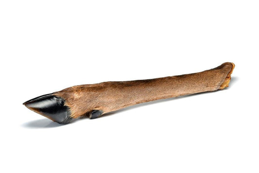 Deer Leg - Hairy / Large - North East Pet Shop Dog Shack UK