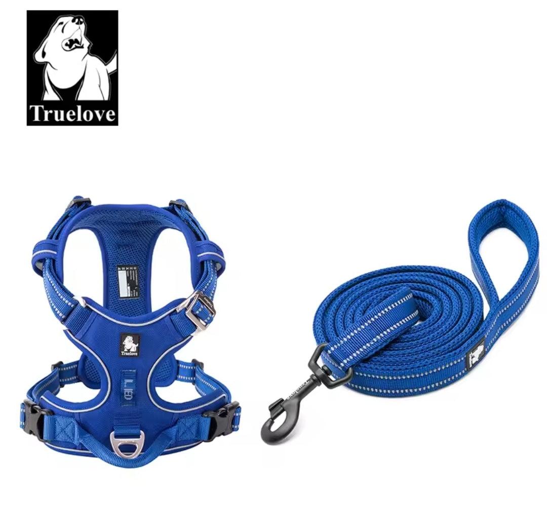 DogShackUK! True Love Harness & Lead - North East Pet Shop Dog Shack UK