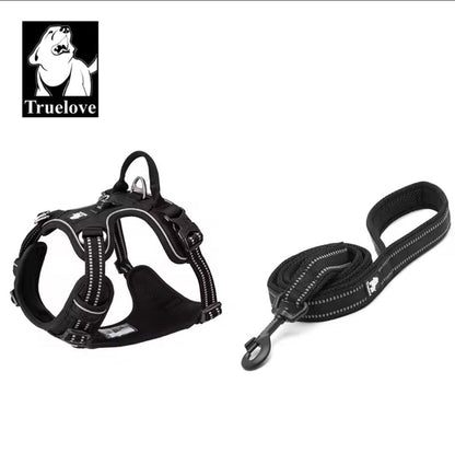 DogShackUK! True Love Harness & Lead - North East Pet Shop Dog Shack UK