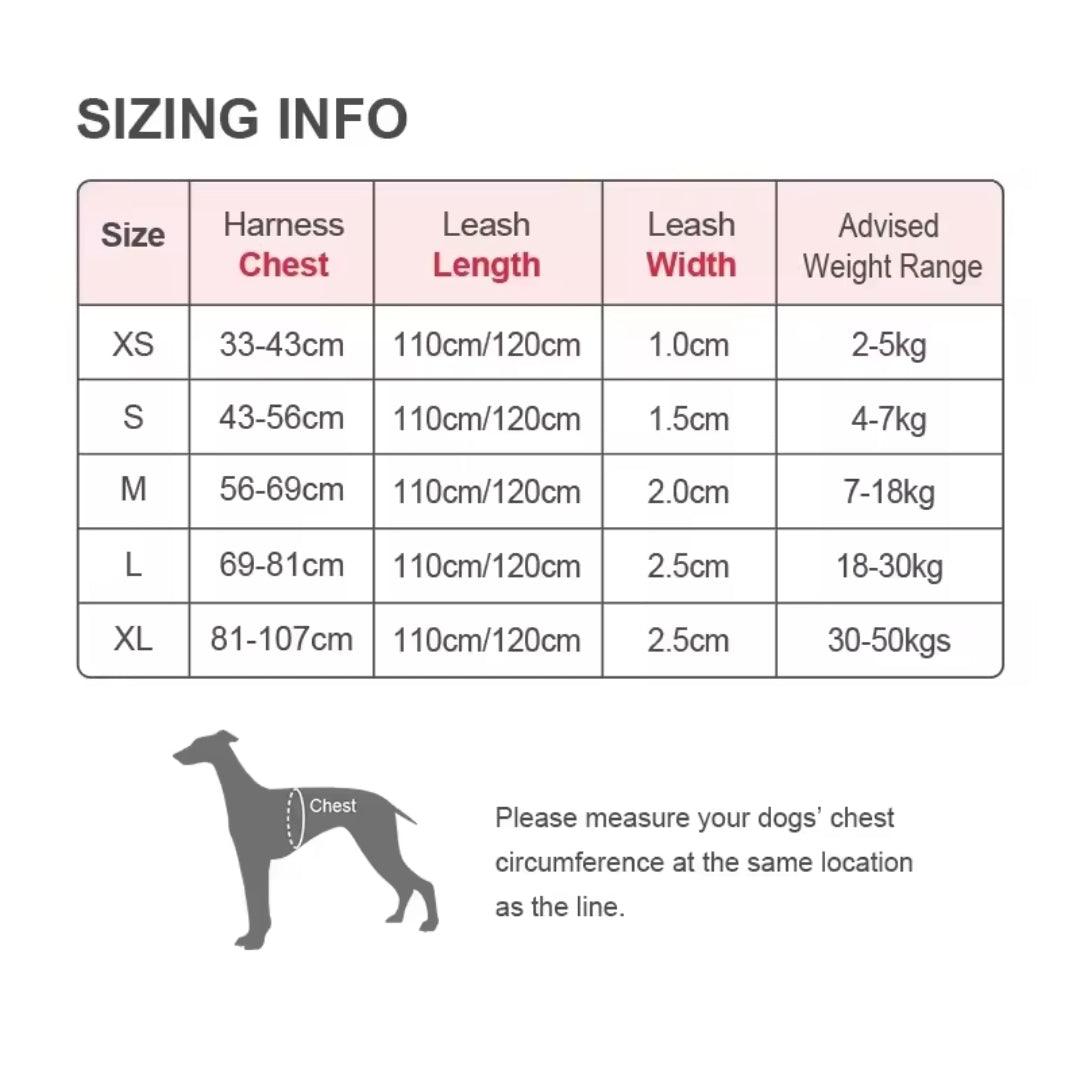 DogShackUK! True Love Harness & Lead - North East Pet Shop Dog Shack UK