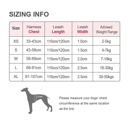 DogShackUK! True Love Harness & Lead - North East Pet Shop Dog Shack UK