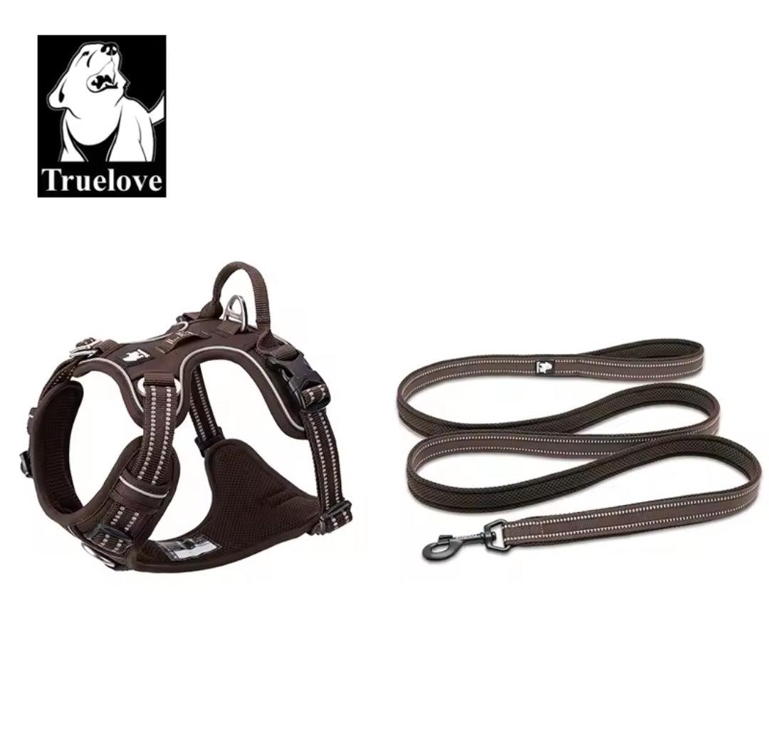 DogShackUK! True Love Harness & Lead - North East Pet Shop Dog Shack UK