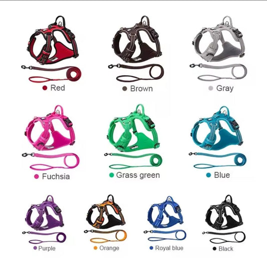 DogShackUK! True Love Harness & Lead - North East Pet Shop Dog Shack UK