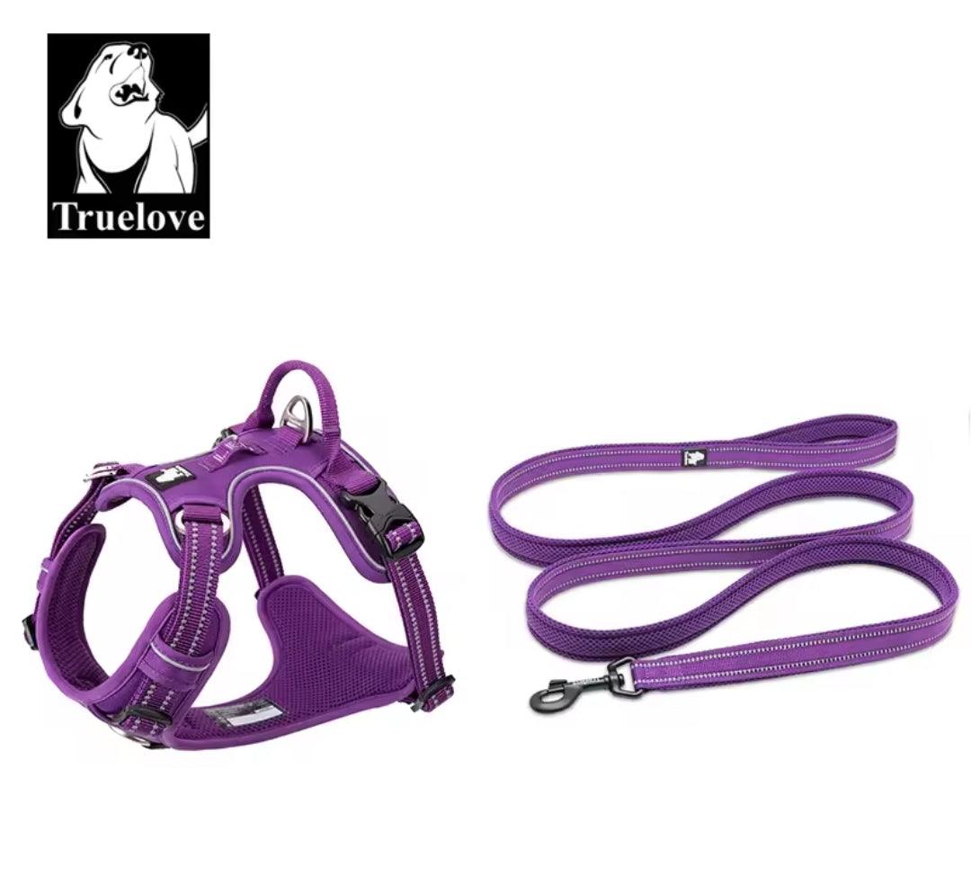 DogShackUK! True Love Harness & Lead - North East Pet Shop Dog Shack UK
