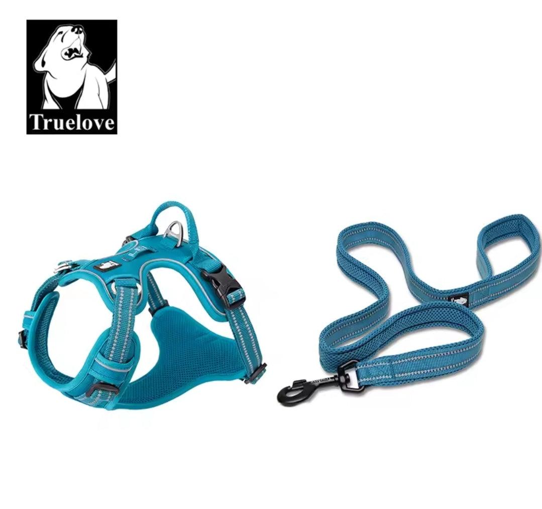 DogShackUK! True Love Harness & Lead - North East Pet Shop Dog Shack UK