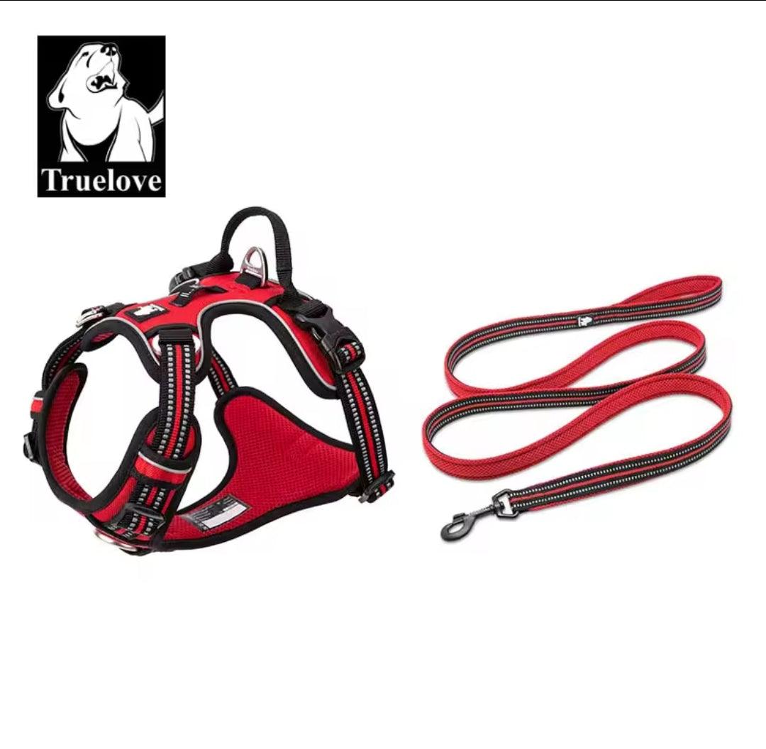 DogShackUK! True Love Harness & Lead - North East Pet Shop Dog Shack UK