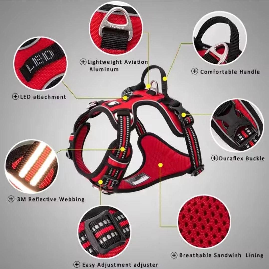 DogShackUK! True Love Harness & Lead - North East Pet Shop Dog Shack UK