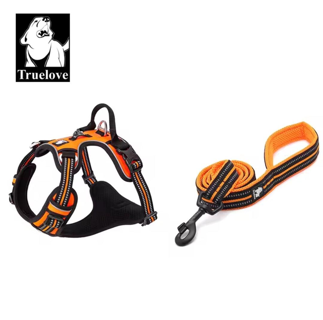 DogShackUK! True Love Harness & Lead - North East Pet Shop Dog Shack UK