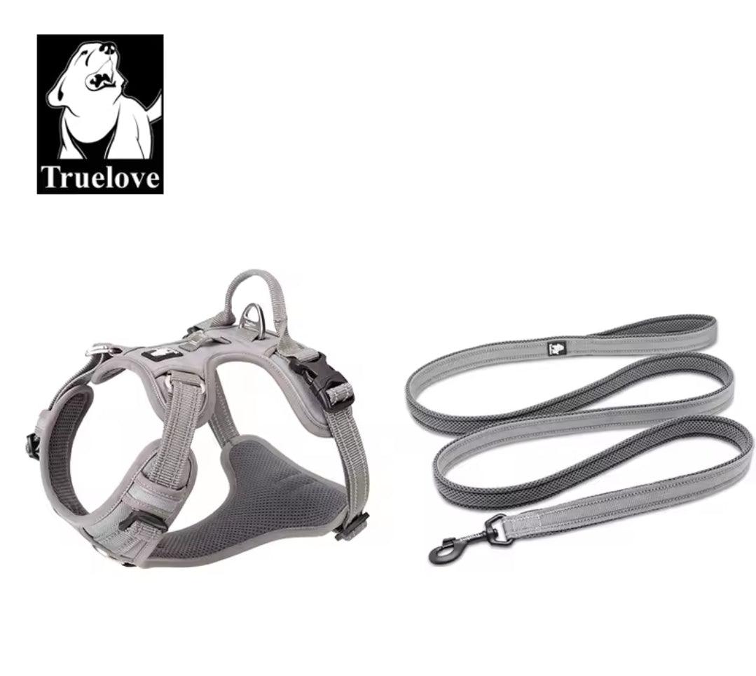 DogShackUK! True Love Harness & Lead - North East Pet Shop Dog Shack UK
