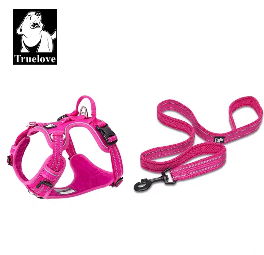 DogShackUK! True Love Harness & Lead - North East Pet Shop Dog Shack UK