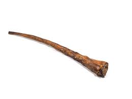 Buffalo Tail
