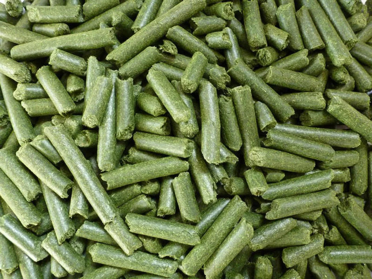 Meadow Grass Pellets – 500g Grazing Bag