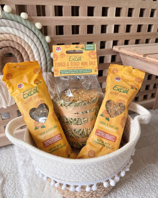 Excel Springtime Bundle - North East Pet Shop Burgess