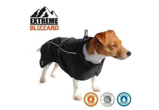 Extreme Blizzard Dog Coat Black 25cm XS - North East Pet Shop Ancol