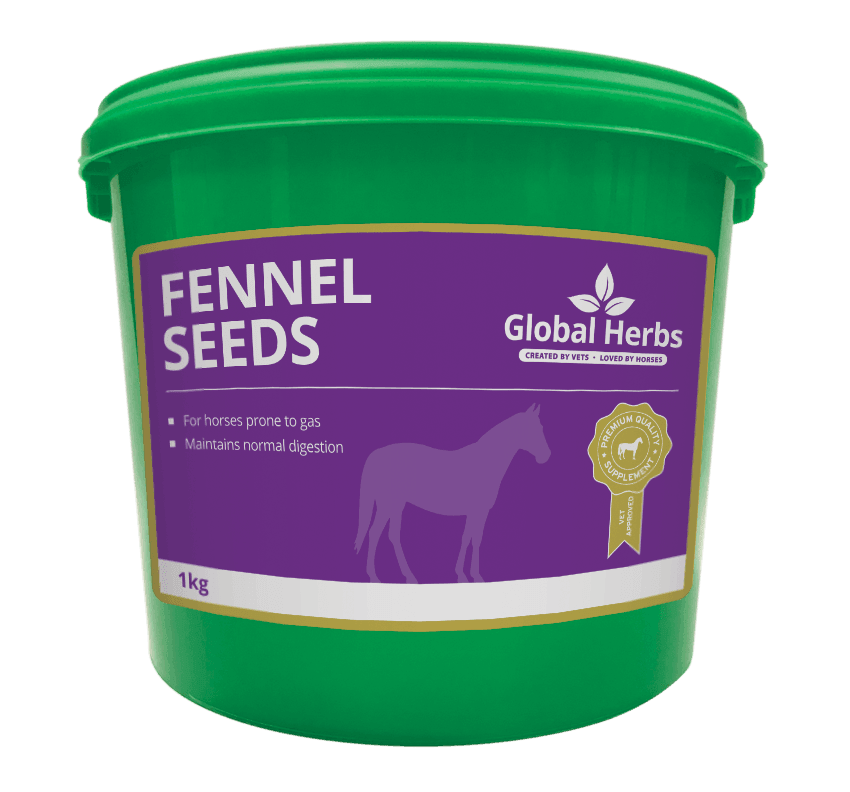 Global H Fennel - North East Pet Shop Global Herbs