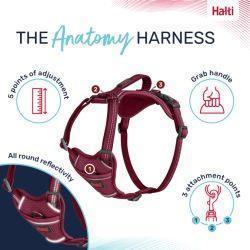 Halti Anatomy Harness Pink - North East Pet Shop Halti