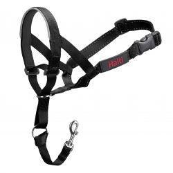 HALTI Headcollar - Black Size 5