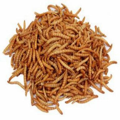 Harrisons Mealworms Bulk 12.55kg - North East Pet Shop Harrisons