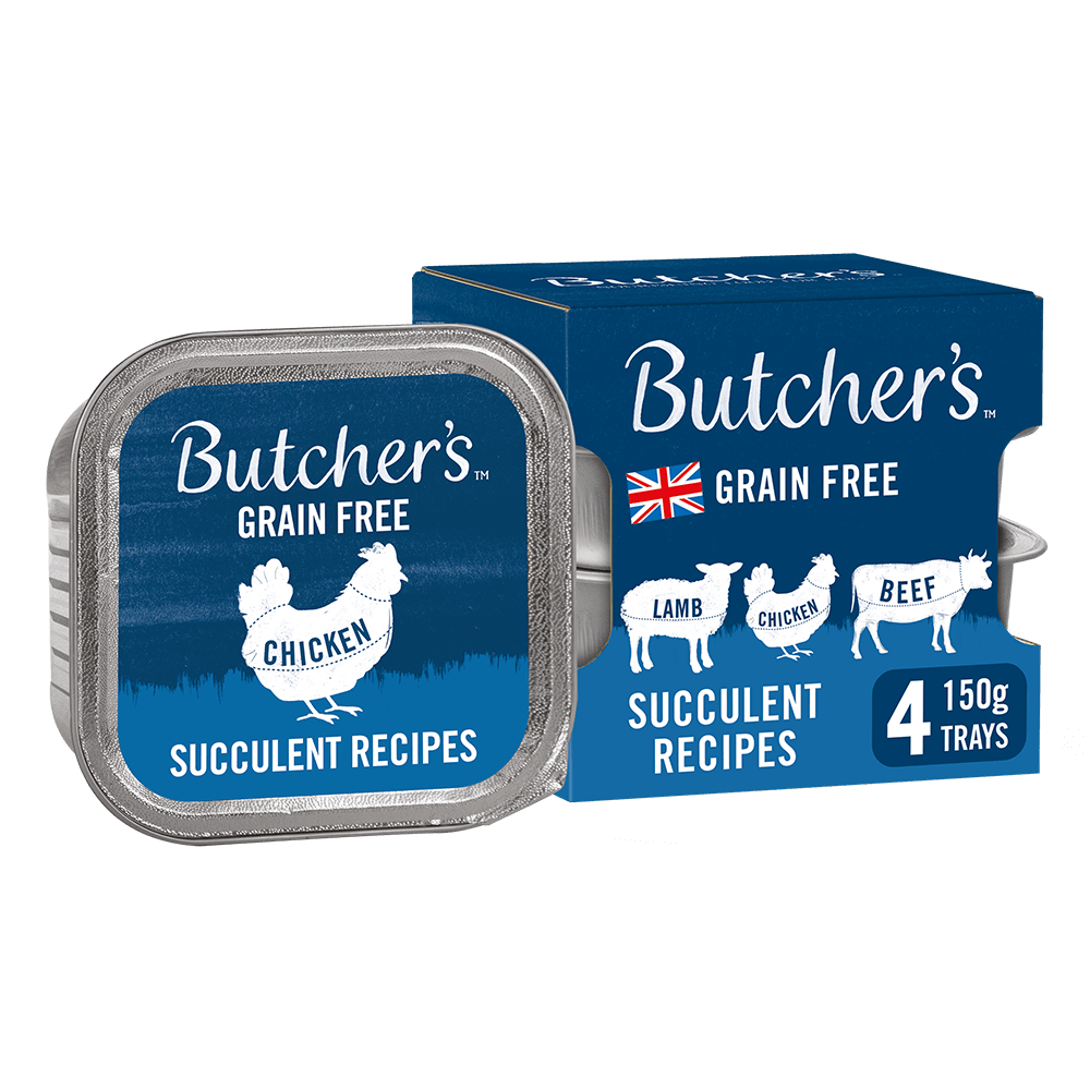 Butcher's Succulent Recipes Dog Food Trays – 4 x 150g / 12 x 150g – product view 2