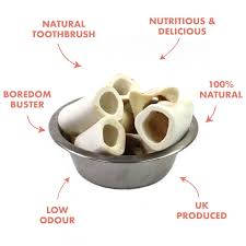 Calcium Bones
