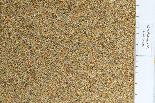 Johnston & Jeff Champions Choice Budgieseed - North East Pet Shop Johnston & Jeff