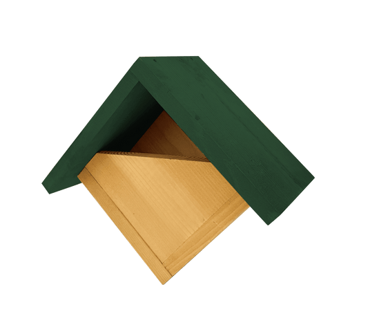 Johnston & Jeff Robin Nest Box with Green Roof - North East Pet Shop Johnston & Jeff