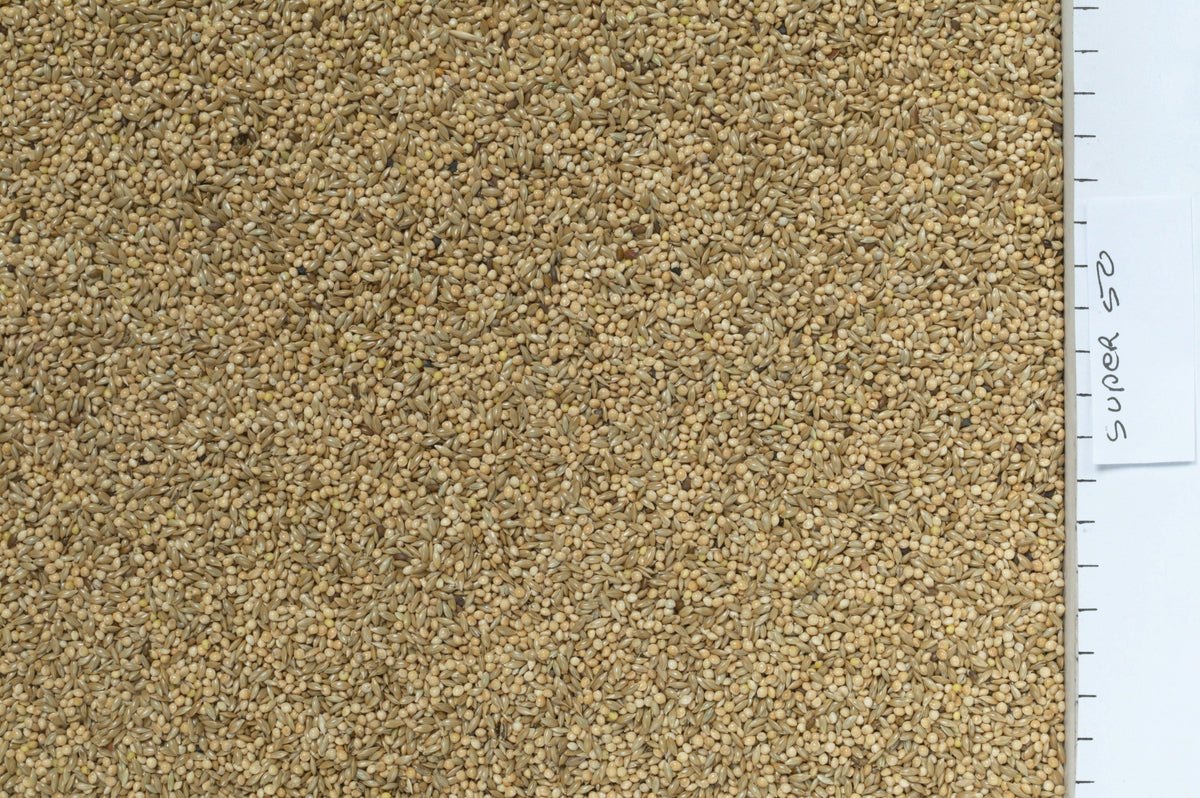 Johnston & Jeff Super 50 Budgieseed - North East Pet Shop Johnston & Jeff