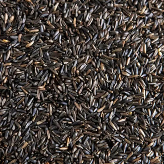 North East Pets Nigerseed 1kg