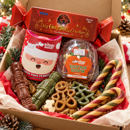 Merry Woofmas Christmas Dog Treat Box – With Antos Cracker