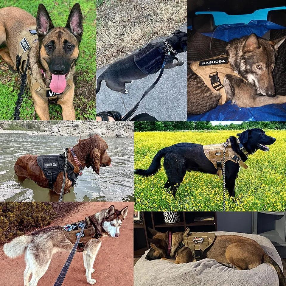 Military Grade Tactical Dog Harness Set - North East Pet Shop Dog Shack UK