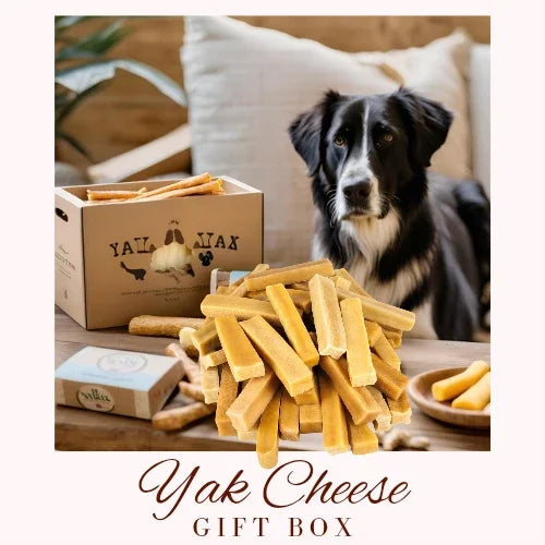 Mixed Yak Cheese Dog Chew Box - North East Pet Shop North East Pet Shop