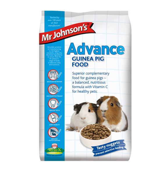 Mr Johnsons Advance Guinea - North East Pet Shop Mr Johnsons