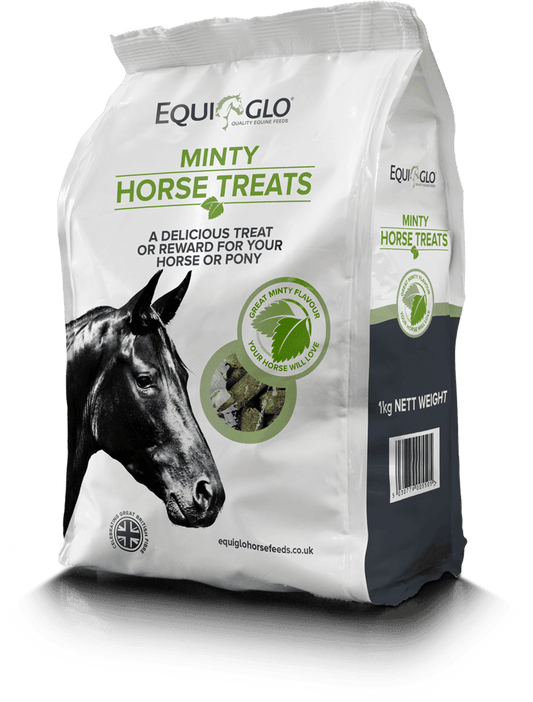 Mr Johnsons Equiglo Horse Treats & Herbs - North East Pet Shop Mr Johnsons