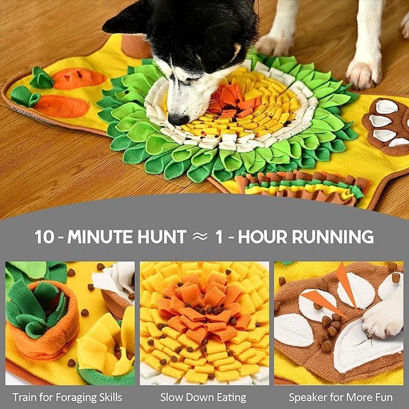 New Pet Treat Puzzle Mat - North East Pet Shop Dog Shack UK