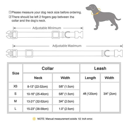 Personalised Dog Collar and Leash Set - Leather - North East Pet Shop Dog Shack UK