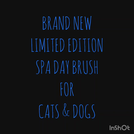 Spa Day Brush for Cats & Dogs – product view 2