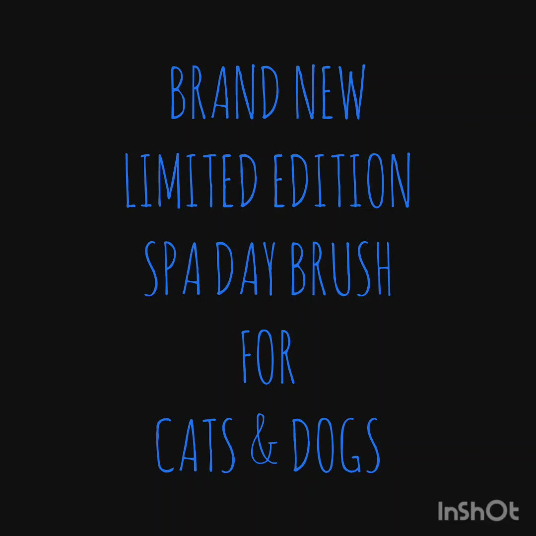 Spa Day Brush for Cats & Dogs – product view 2