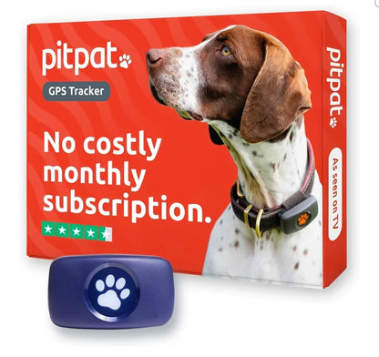 PitPat Collar GPS Tracker