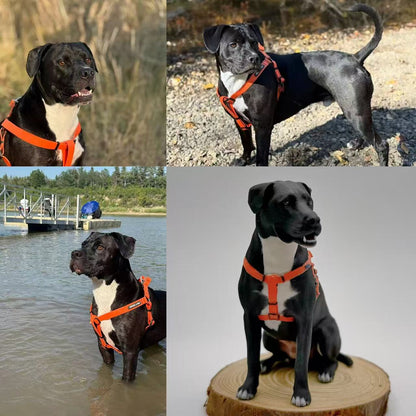 Custom Pet Sculpture Order | Handcrafted Dog & Cat Keepsake | Upload Your Photos