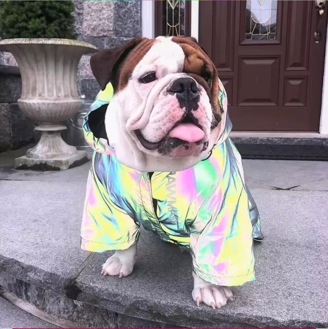 Dog Shack Flash! Dog Coat - medium-1