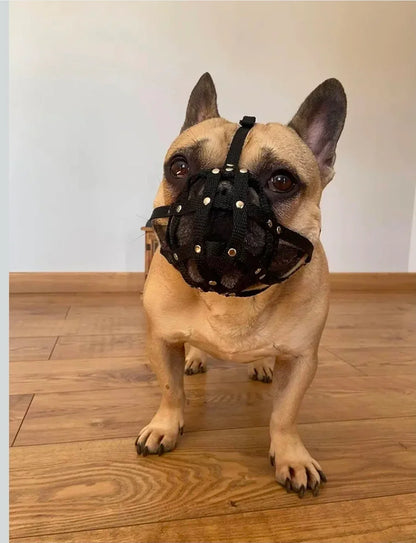 Dog Muzzle for French Bulldog "Frenchies" a Other similar snouts short snout - Black / 0