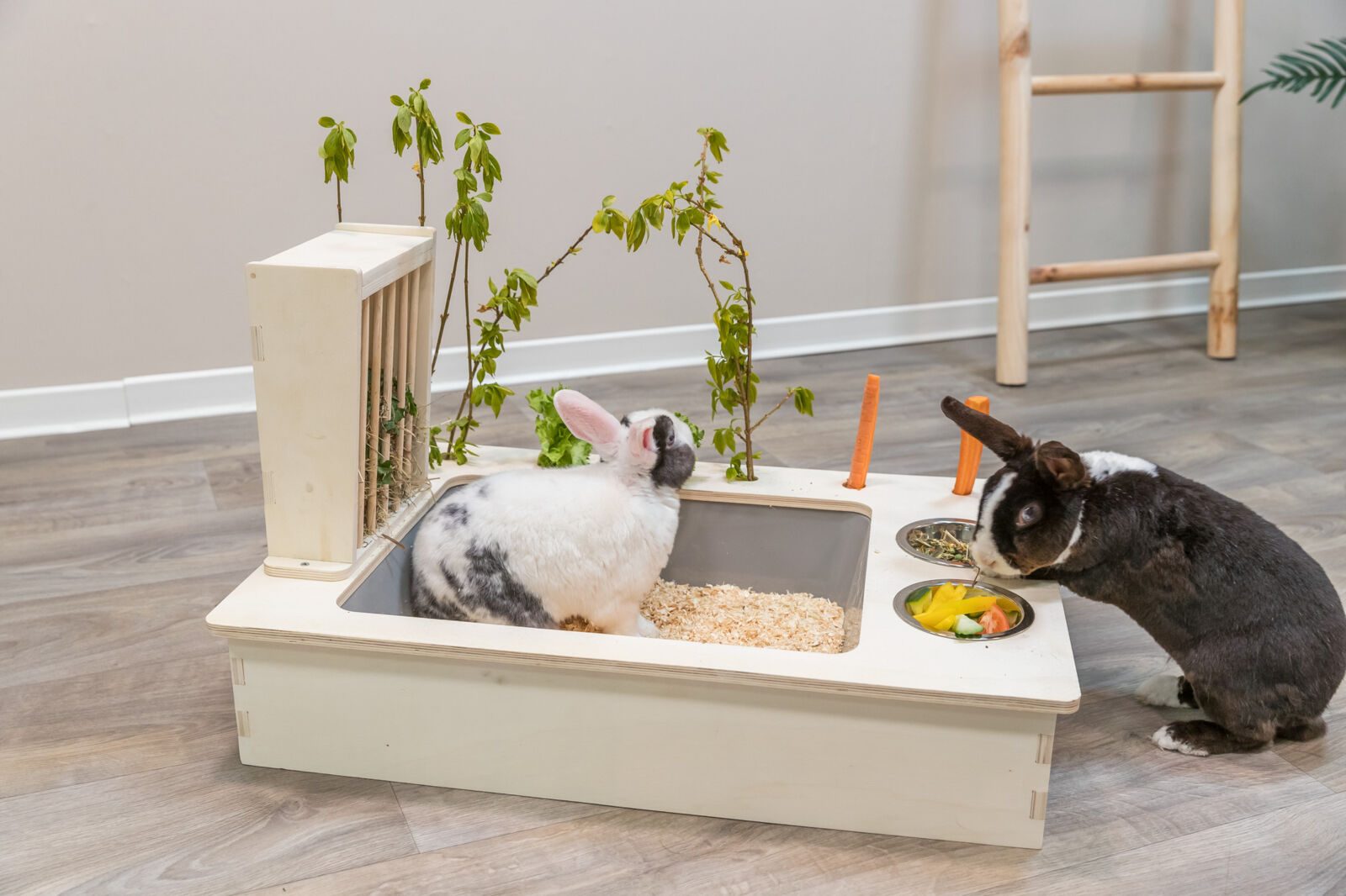 Trixie Feeding Station