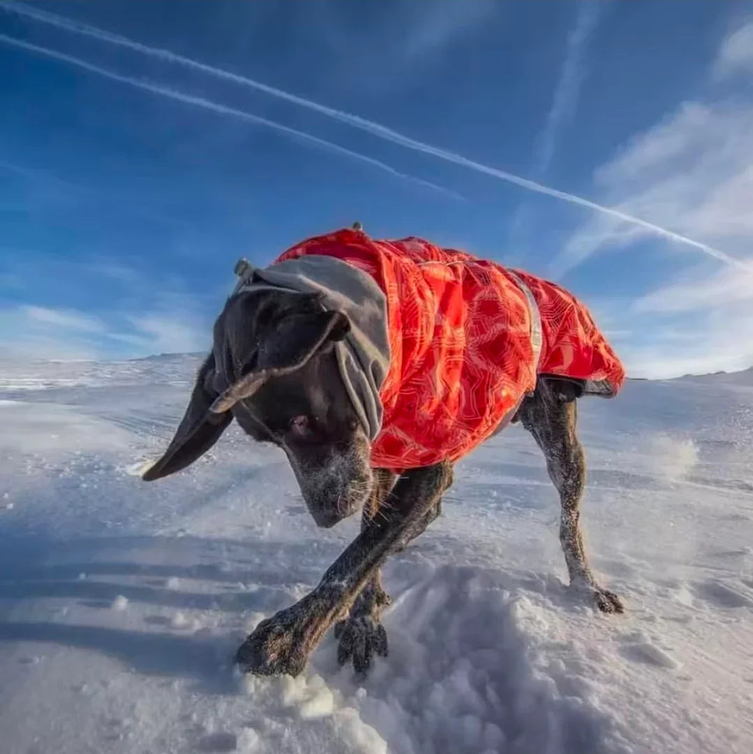 Dog Shack Winter Sherpa Dog Coat. - blue-1 / 2xl