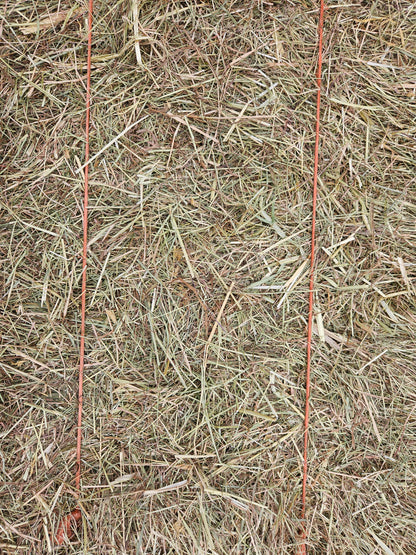 Meadow Hay Bale - North East Pets