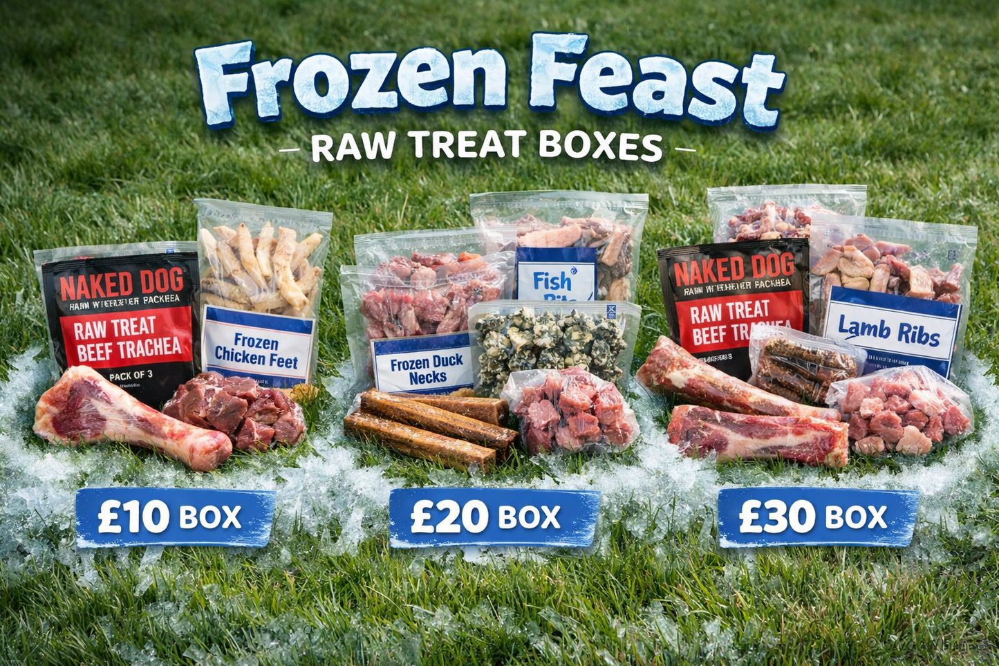 Primal Frozen Treat Selection - Mini