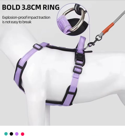 North East Pets Harness Vest - S / Purple
